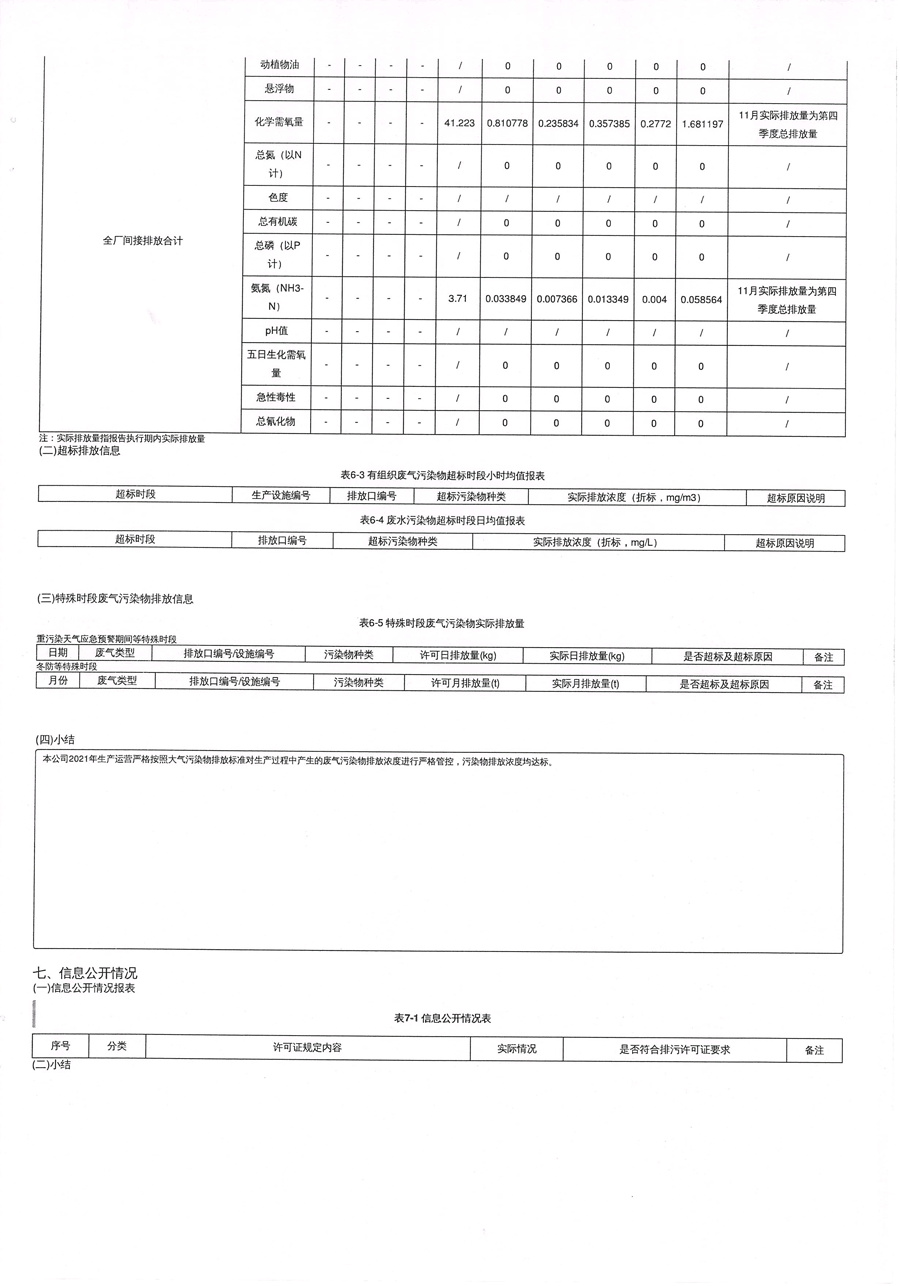 2021年排污許可年度執(zhí)行報(bào)告-10